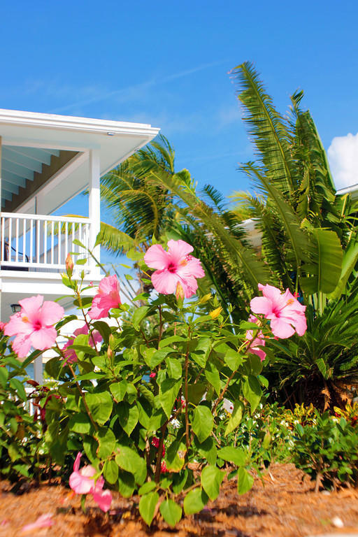 Exuma Beach Resort George Town Buitenkant foto